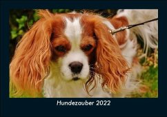 Hundezauber 2022 Fotokalender DIN A5 - Tobias Becker