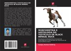 MORFOMETRIA E HISTOLOGIA DO TESTÍCULO DE BLACK BENGAL BUCK