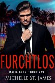 Furchtlos (eBook, ePUB)