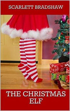 Cover The Christmas Elf (eBook, ePUB)