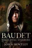 Baudet (eBook, ePUB)
