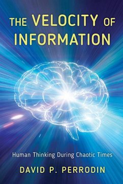 The Velocity of Information - Perrodin, David P.