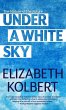 Under a White Sky - Bild 1