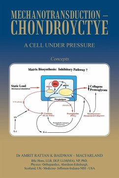 Mechanotransduction - Chondroyctye - Baidwan - Macfarland, Amrit Rattan K