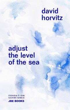 David Horvitz: Adjust the Level of the Sea - Horvitz, David