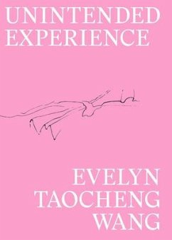 Evelyn Taocheng Wang: Unintended Experience