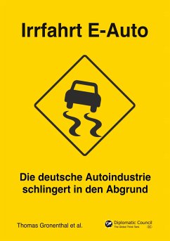 Irrfahrt E-Auto (eBook, ePUB)