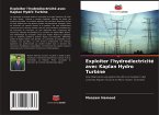 Exploiter l'hydroélectricité avec Kaplan Hydro Turbine