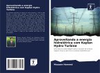 Aproveitando a energia hidrelétrica com Kaplan Hydro Turbine