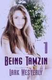 Being Tamzin 1 (eBook, ePUB)