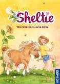 Wie Sheltie zu uns kam / Sheltie Bd.1 (eBook, PDF)