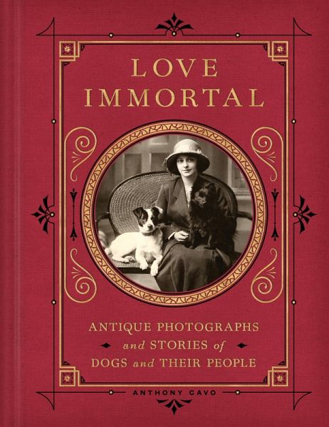 Love Immortal (eBook, ePUB)