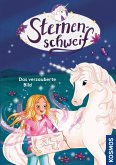 Das verzauberte Bild / Sternenschweif Bd.71 (eBook, PDF)