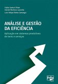 Análise e gestão da eficiência (eBook, ePUB)