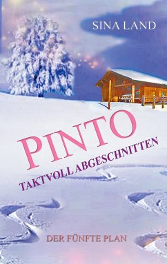 Pinto - Der fünfte Plan (eBook, ePUB)