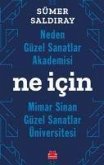 Neden Güzel Sanatlar Akademisi Ne Icin Mimar Sinan Güzel Sanatlar Üniversitesi