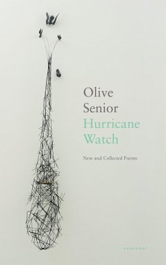 Hurricane Watch (eBook, ePUB) - Senior, Olive