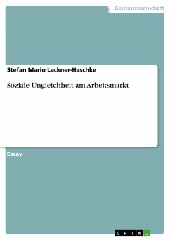 Soziale Ungleichheit am Arbeitsmarkt (eBook, PDF)