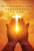 Witnessing the Providence of God (eBook, ePUB)