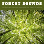 Forest Sounds: Forest Nature Sounds for Meditation, Deep Sleep & Relaxation (XXL Bundle) (MP3-Download)