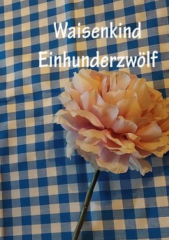 Waisenkind Einhundertzwölf (eBook, ePUB) - Stutz, Christine