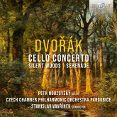 Dvorak:Cello Concerto,Silent Woods,Serenade