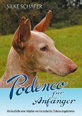 Podenco für Anfänger (eBook, ePUB)