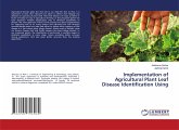 Implementation of Agricultural Plant Leaf Disease Identification Using