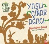 Yasli Cinar Agaci Yasli Cinar Agaci