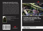 Ecology and annual life cycle of the Russian snow leopard warbler