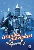 Istanbul Maviyken Istanbul Maviyken