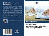 Analyse der Finanzierungs mechanismen von Mikroprojekten