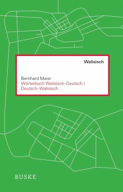 Wörterbuch Walisisch - Deutsch / Deutsch - Walisisch - Maier, Bernhard