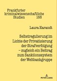 Selbstregulierung im Lichte der Privatisierung der Strafverfolgung ¿ zugleich ein Beitrag zum Sanktionssystem der Weltbankgruppe