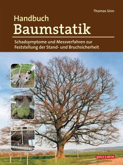 Handbuch Baumstatik - Sinn, Thomas