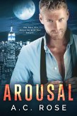 Arousal (eBook, ePUB)