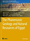 The Phanerozoic Geology and Natural Resources of Egypt