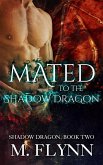 Mated to the Shadow Dragon: Shadow Dragon Book 2 (Dragon Shifter Romance) (eBook, ePUB)