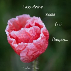 Lass deine Seele frei fliegen