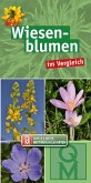 Wiesenblumen im Vergleich