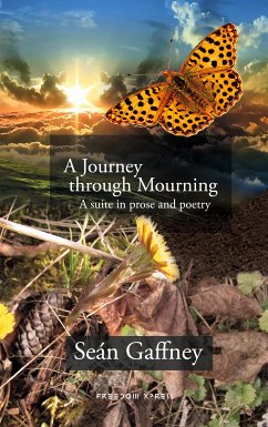 A Journey through Mourning (eBook, ePUB) - Gaffney, Seán