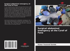 Surgical abdominal emergency at the Csref of Fana - Guindo, Oumar Youssouf