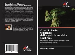 Cosa ci dice la filogenesi dell'erpetofauna della Martinica - Bourgade, Marcel