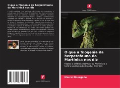 O que a filogenia da herpetofauna da Martinica nos diz - Bourgade, Marcel