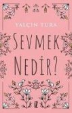 Sevmek Nedir