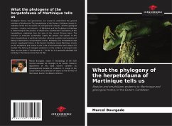 What the phylogeny of the herpetofauna of Martinique tells us - Bourgade, Marcel