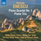 Piano Quartet 1/Piano Trio