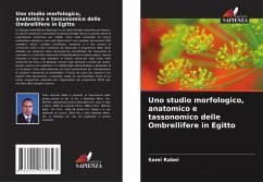 Uno studio morfologico, anatomico e tassonomico delle Ombrellifere in Egitto - Rabei, Sami