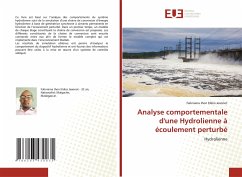 Cover Analyse comportementale d'une Hydrolienne à écoulement perturbé