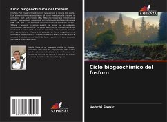 Ciclo biogeochimico del fosforo - Samir, Hebchi